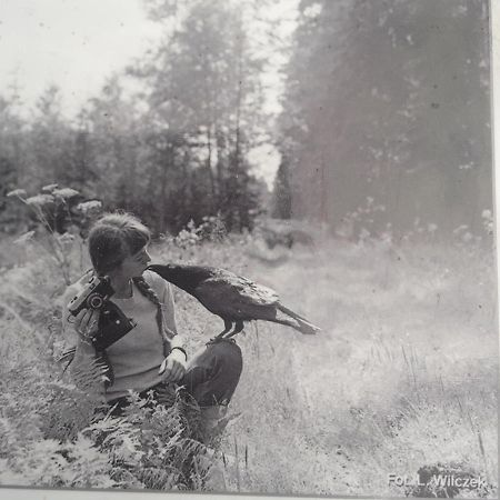 In Nature Białowieża Extérieur photo