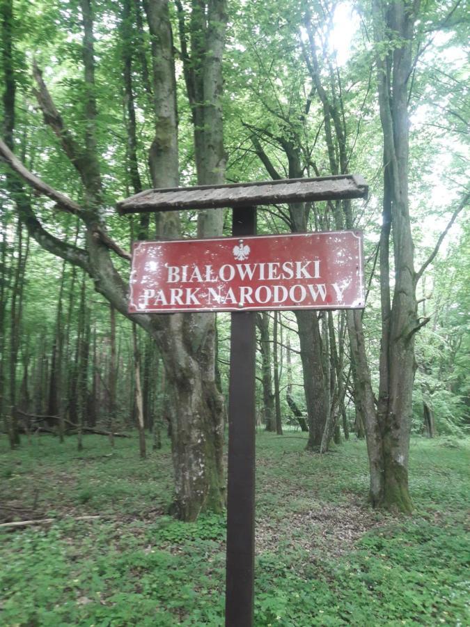 In Nature Białowieża Extérieur photo