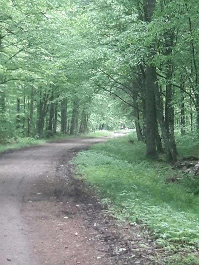 In Nature Białowieża Extérieur photo