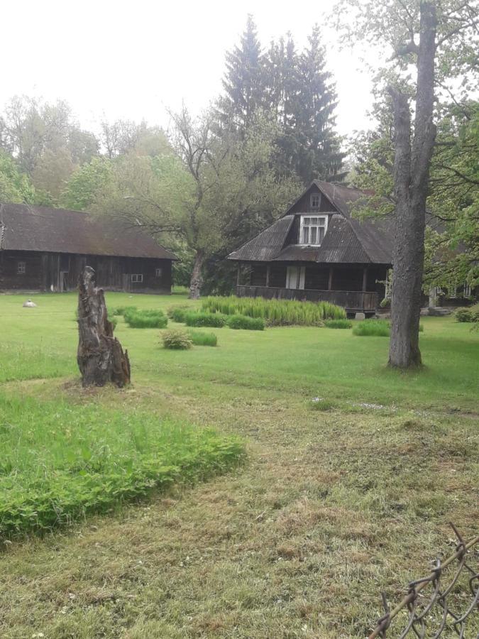 In Nature Białowieża Extérieur photo