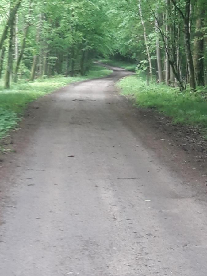 In Nature Białowieża Extérieur photo